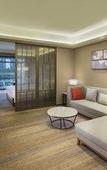 Туры в отель Hilton Garden Inn Shiyan