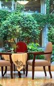 Туры в отель Huangshan International Hotel