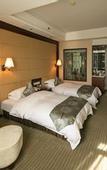 Туры в отель Huangshan International Hotel