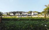 Туры в отель The Brigh Eco Hotel Yantai