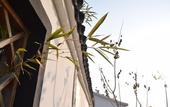 Туры в отель The Brigh Eco Hotel Yantai