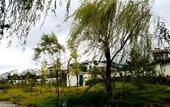 Туры в отель The Brigh Eco Hotel Yantai