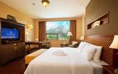 Туры в отель WUYI MOUNTAIN YUEHUA RESORT