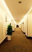 Туры в отель GreenTree Inn Hotel (Jiaxing Wangjiangjing Town)