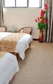 Туры в отель GreenTree Inn (Yancheng West Passenger Station Damagou Ecological Park )