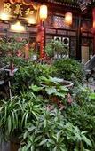 Туры в отель Harmony Hotel