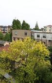 Туры в отель Sunshine Hotel (Wuzhen Xizha Scenic Area Branch)