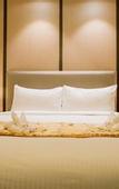 Туры в отель Shanghai SK Lusso Hotel Songjiangwanda University Town