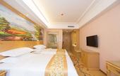 Туры в отель Vienna Hotel Panyu Nan Cun JinJiang Branch