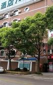 Туры в отель GreenTree Inn ShangHai KangQiao Industrial Zone JinXiu Road Business Hotel