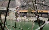 Туры в отель Wolong Fort Inn