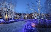Туры в отель Wolong Fort Inn