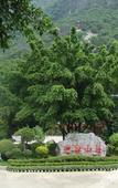Туры в отель Yinghui Manor