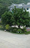 Туры в отель Yinghui Manor