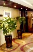 Туры в отель Huamei Zixuan Hotel