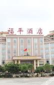 Туры в отель Longzeju International Hotel