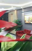 Туры в отель Shankee Hotel (Xujing North City)