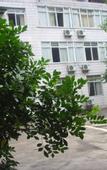Туры в отель Shankee Chain Hotel (Wusheng Hongwu Avenue)