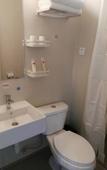 Туры в отель Shankee Collection Hotel (Xingtang Yongchang North Road)