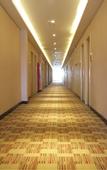 Туры в отель Shankee Chain Hotel (Jinan Western International Exhibition Center Lishan Overpass)