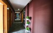 Туры в отель Shankee Hotel (Xi'an Tianjiawan Subway Station)