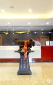 Туры в отель Shankee Hotel (Baicheng University Town Dingyang Wanda)