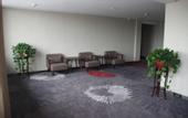 Туры в отель Shankee Hotel (Qufu Kongfu Branch)