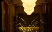 Туры в отель Floral Hotel · Taimuting Hotel (Tongli)