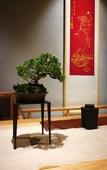 Туры в отель Floral Hotel · Taimuting Hotel (Tongli)