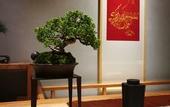 Туры в отель Floral Hotel · Taimuting Hotel (Tongli)