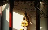 Туры в отель Floral Hotel · Taimuting Hotel (Tongli)