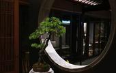 Туры в отель Floral Hotel · Taimuting Hotel (Tongli)