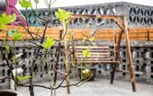 Туры в отель Hongxingju
