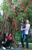 Туры в отель Crowne Plaza Kunming Ancient Dian Town
