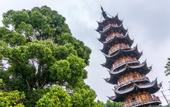 Туры в отель Siji Business Hotel (Guangzhou South Railway Station Huijiang Subway Station)