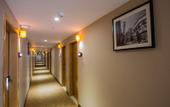 Туры в отель IU Hotel Shijiazhuang Xinji Shifu Street Branch
