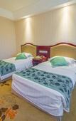 Туры в отель EmeishanHotel