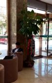 Туры в отель GreenTree Inn (Golmud Kunlun Park Bayi Road Underground Commercial Street Store)