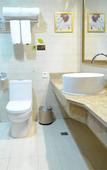 Туры в отель Vienna International Hotel (Dongguan Hengli Branch)