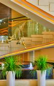 Туры в отель Xiedu Hangchen International Hotel