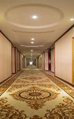 Туры в отель Vienna Hotel (Chaozhou Ancient City People's Square)