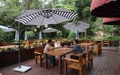 Туры в отель Fontainebleau Hotel