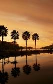 Туры в отель Fontainebleau Hotel
