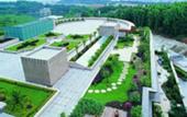 Туры в отель Fontainebleau Hotel