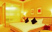 Туры в отель Fontainebleau Hotel