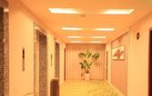 Туры в отель Global Jade Business Hotel