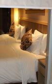 Туры в отель Jinrui Jiatai Hotel Xiamen (Convention and Exhibition Center-Gudishi Subway Station)
