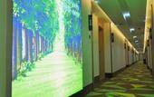 Туры в отель Vatica Hotel Xuzhou Suining East Bus Station Branch