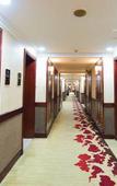 Туры в отель Taoran Garden Hotel(south railway station)
