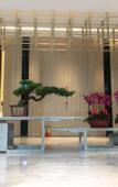 Туры в отель Gaoxin FuYue Hotel Shenzhen Nanshan